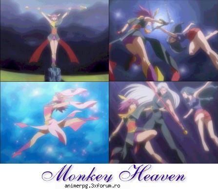 poze monkey heaven