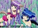 hai!!!!!! sper plac Admin