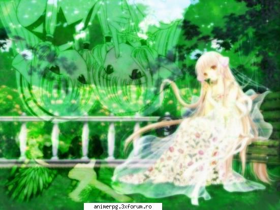 flori preferati orhideele sunt foarte frumoase!