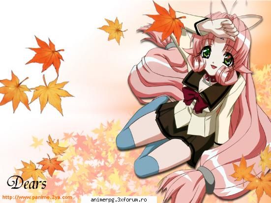 dears sau shuflle dears