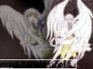 Anime Angels - Sora - Concurs