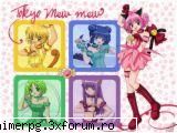 iiin sfarsit - asha e!!!!!!!!!!!! - Tokio Mew Mew